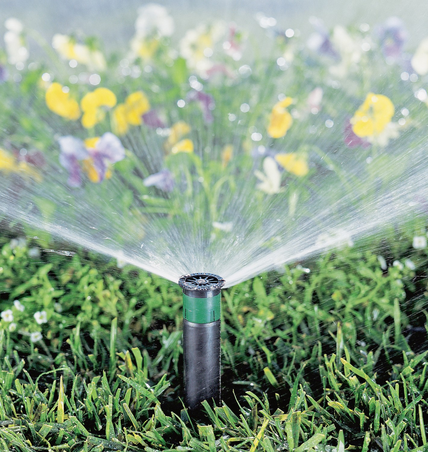 Produktvorstellung So wird auch der Garten smart: Bewässerungssysteme per App steuern - News, Bild 1